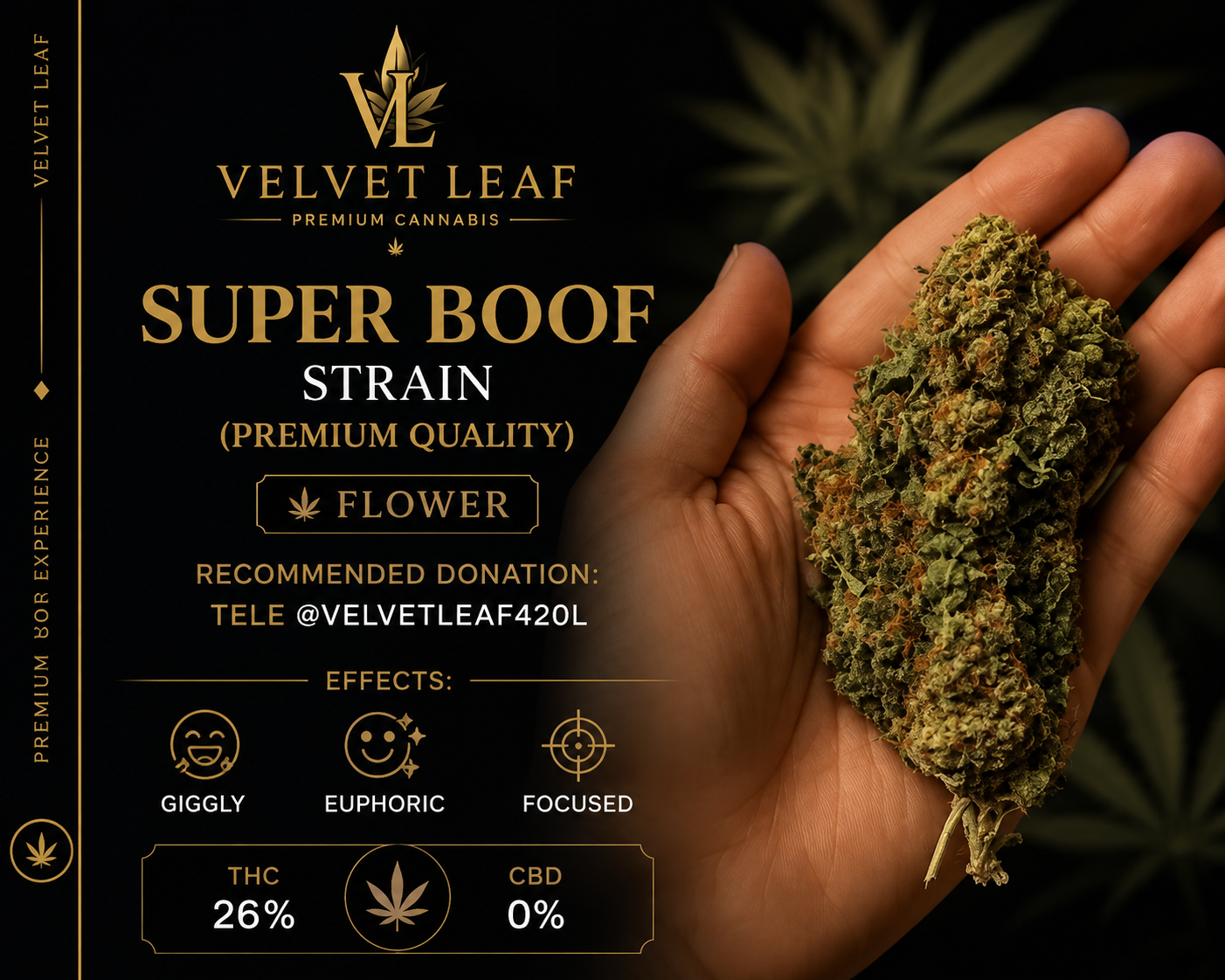 Super Boof