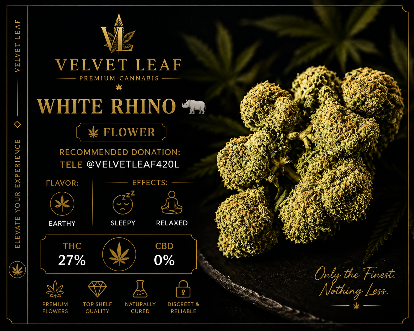 White Rhino